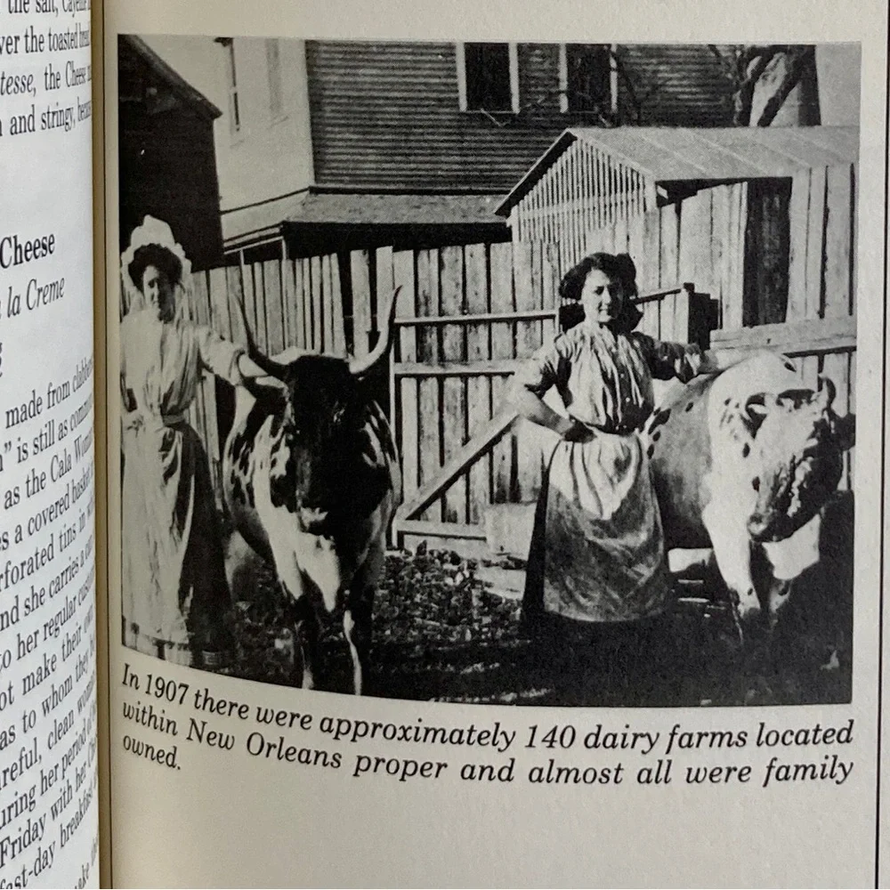 1987 The Picayune’s Creole Cook Book New Orleans Times-Picayune Cookbook NOLA - Picture 10 of 16